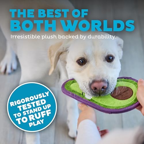 Outward Hound Tough Skinz Durable Chew Plush Squeaky Dog Toy, Avocado, 9"