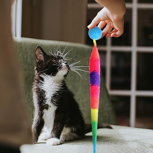 Bouncy Ball with Tail Cat Toys,5 Packs Rainbow Large Magic Worm with Ball Toy for Cats,Colorful Fuzzy Worm Bouncy Balls Cat Toy
