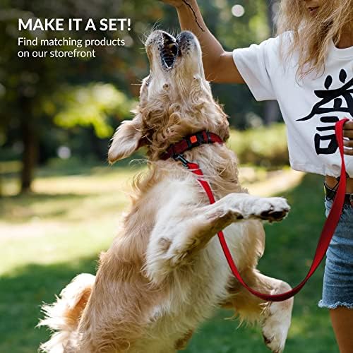 Reflective Dog Collar, Quick-Release Buckle (Red, 10-13 Inch)