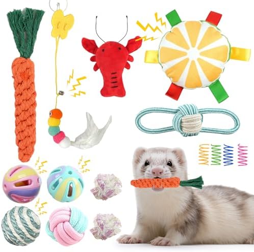 15 Pack Ferret Toys, Ferret Chew Toys, Interactive Toys with Bell Balls
