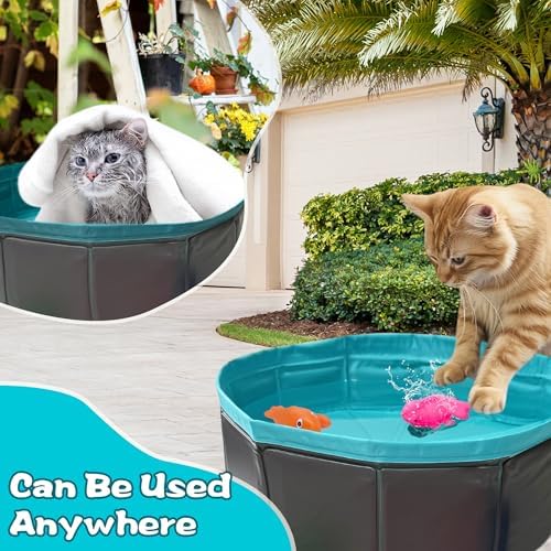 Cat Pool Toy, Water Toys for Cats, Best Cat Toys for Bored Indoor Cats, Hunting Toys for Indoor Catss, Portable Play Mat, Pet Swimming Pool for Self Play Enrichment (1pcs Pool + 6pcs Toy)