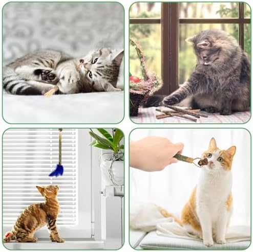 Bissap 12 PCS Silvervine Chew Sticks for Cats, Catnip Chew Sticks Cat Toys for Indoor Cat Kitten Teeth Grinding Interactive Feather Toys for Aggressive Chewers Dental Care