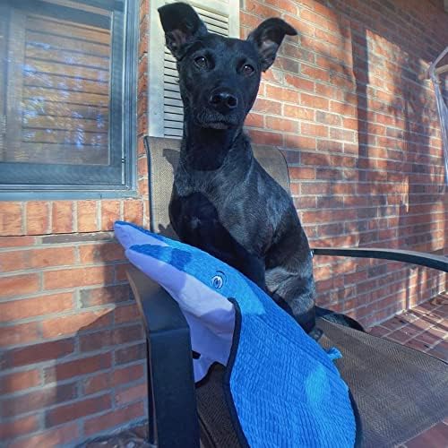 SmartPetLove Snuggle Puppy Tender-Tuffs Tug Dog Toy, Blue Stingray - Large