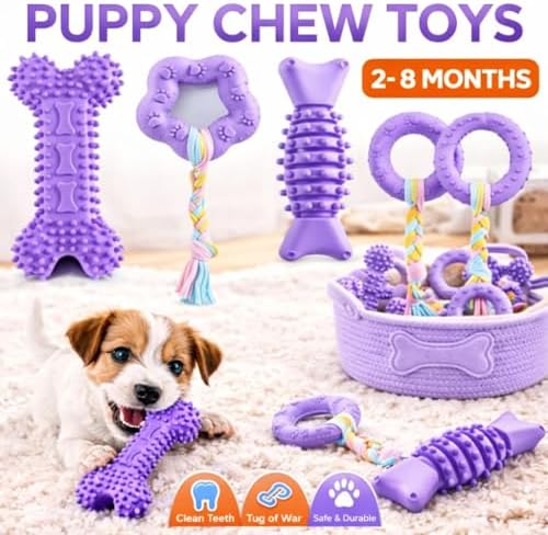 Puppy Chew Toys, 6 Pack Puppy Teething Toys for Small Breed, Soft Rubber Cute Purple Dog Toys, Eco-Friendly, Teeth Cleaning Interactive for Small Dogs (Basket not Included)