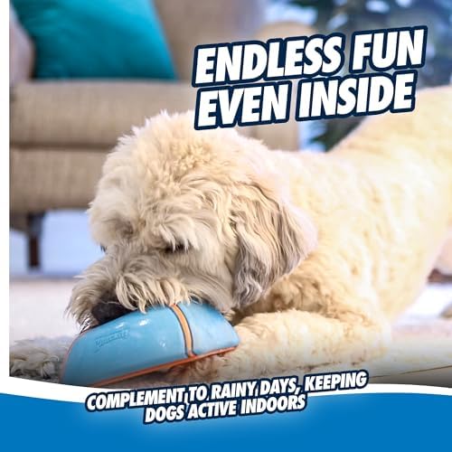 Chuckit! Indoor Super Slider Self-Fetch Squeaky Dog Toy, Durable Rubber