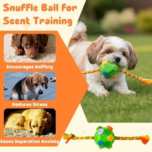 Snuffle Ball for Dogs Toy - Puppy Treat Hiding Interactive Enrichment Ball, Dog Slow Feeder Brain Stimulation Puzzle Cognitive Toys, Encourage Natural Foraging Skills for Pet Training (Green)