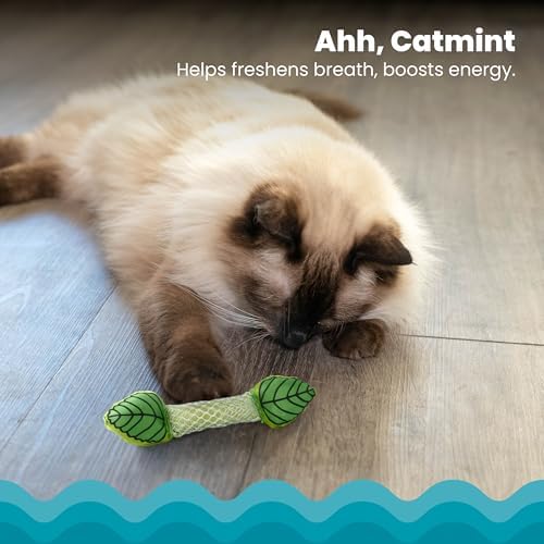 Catstages Fresh Breath Mint Stick Cat Toy, Dental Chew with Catmint, 5"