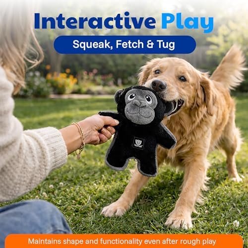 American Kennel Club Plush Dog Toy with Squeaker for Moderate Chewers, Soft Stuffed Dog Toy for Tugging, Fetch & Interactive Play, Gentle on Teeth