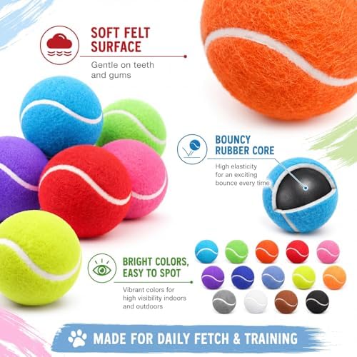 Yunsailing 15 Pcs Dog Tennis Balls 2.4 Inch Dogs Toy Balls Bright Colors Pet Training Toy for Small Medium Large Puppy Indoor Outdoor Interactive Training Exercise Games
