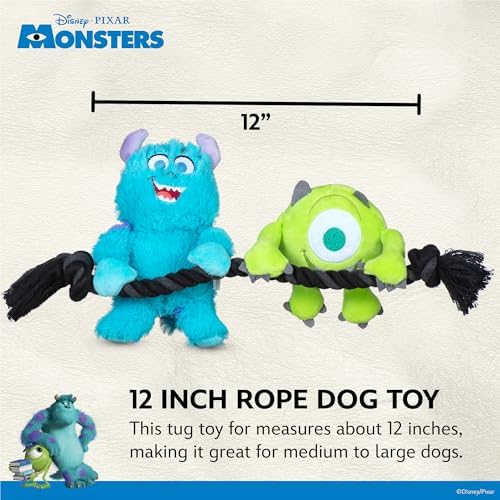 Disney for Pets Pixar Monsters Inc Sulley and Mike Hanging Rope Dog Toy
