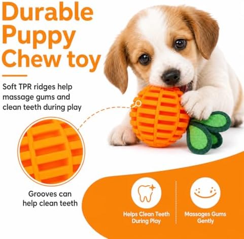 2 Pack Treat Dispensing Dog Ball Toys, Squeaky Puppy Chew Toys for Teething