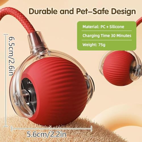 2 Pack Interactive Cat Puppy Toy Balls with Tail for Indoor