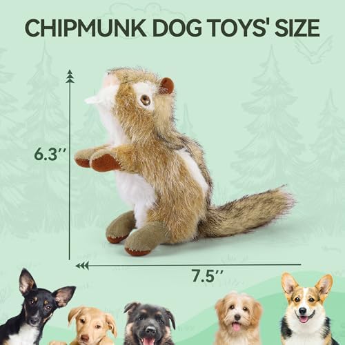 ALL FOR PAWS Squeaky Dog Toys, Plush Dog Toy, Stuffed Animal Dog Toys for Small Medium Large Dogs, Soft Chipmunk Toy with Squeaker