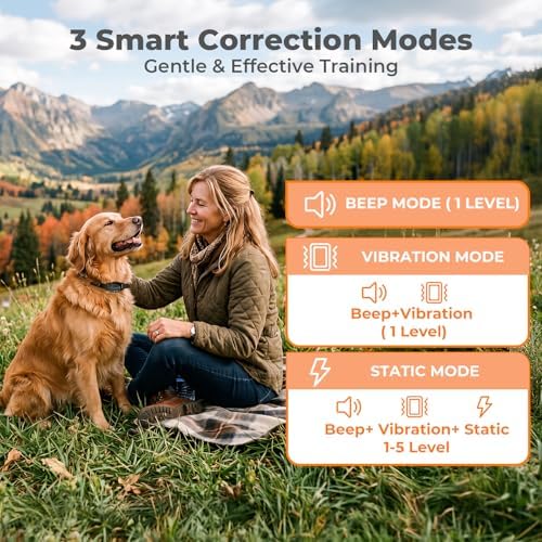 GPS Wireless Dog Fence System, Waterproof Rechargeable Electric Dog Fence Collar with 4-Zone Progressive Correction, 3 Modes & 55-6000ft Adjustable Range for Medium Large Dogs
