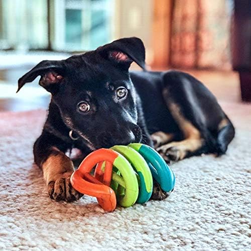 JW Pet Dogs in Action Dog Toy, Small (Assorted Colors) (Pack of 4)