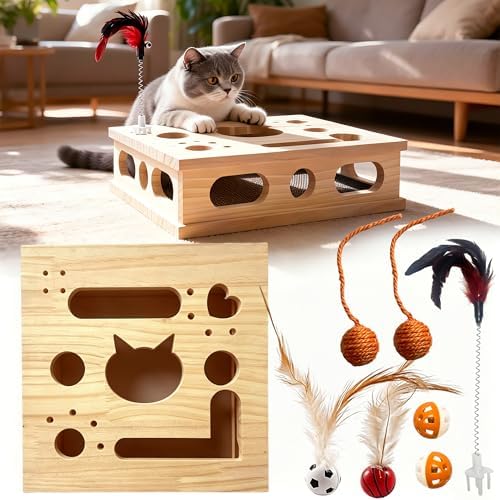 2026 New Model Cat Nail File Enrichment Box, Square