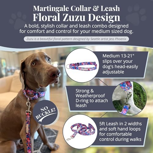 Lucky Love Dog Martingale Collar & Leash Set No Slip Cute – Zuzu, Medium