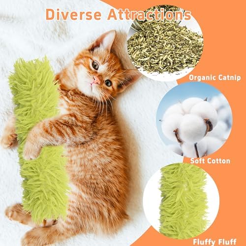 3 Pack Catnip Toys,Soft and Durable Cat Pillows Toys, Funny cat Toy