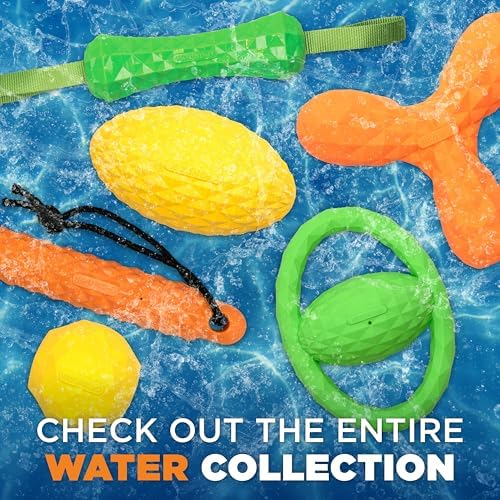Squeaky Tug Ball - Floating Outdoor Dog Toy - Orange