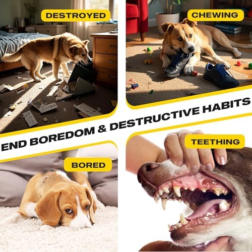 Fida 2-in-1 Puppy Teething Toys, Natural Rubber Chew Toys for Dogs, Corn