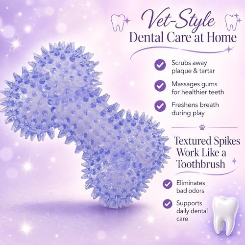Squeaky Spiky Dog Bone Toy for Teeth Cleaning & Gum Massage 4.4 Inch Small Medium Dogs Purple | Spiny TPR Rubber Chew Toy for Fetch Play Interactive Bouncy Dental Bone Durable BPA Free Nontoxic Floats