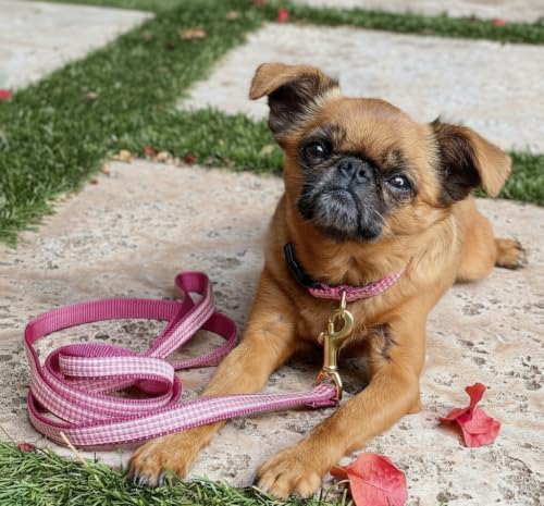 Up Country Pink Gingham Dog Collar, Medium (12 to 18 inches) 1 inch Wide Width
