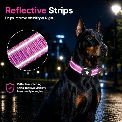 GPS Dog Collar with Tracker, Waterproof, No Monthly Fee, Hot Pink, M | Works with Apple Find My, iOS Only, MFi Certified, No SIM Card, for Medium Dogs, Reflective Padded Nylon, Neck 14.5-19.5 in