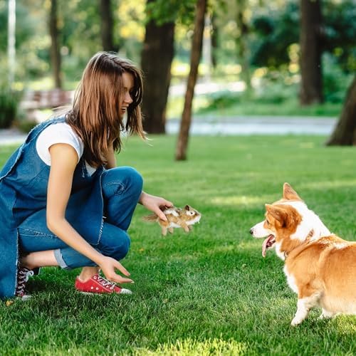 ALL FOR PAWS Chipmunk Squeaky Doy Toy, Squirrel Dog Toy for Small Medium Breed, Puppy Fetch Toy with Squeaker, Plush Chew Dog Toy, Classic-Chipmunk S
