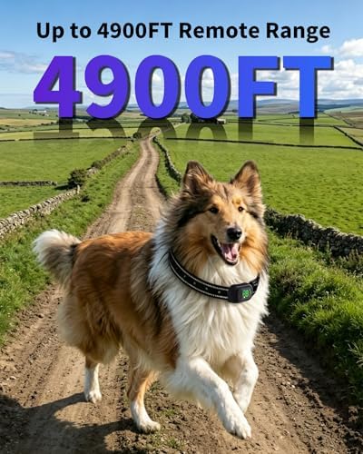 Shock Collar for Dogs, 4900FT Dog Training Collar with Remote, IP67 Waterproof Rechargeable E Collar for Dogs, 4 Training Modes, Voice Call, for Small Medium Large Dog(10-120Lbs)