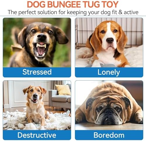 ALL FOR PAWS Dog Bungee Tug Toy, Outdoor Hanging Bungee from Tree for Chase & Tug Fun, Interactive Tug-of-War Toy for Small and Medium Dogs, Bungee Cord with Dog Rope Toy & Soft Chew Toy