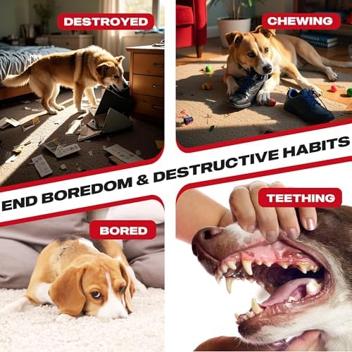 Fida 2-in-1 Puppy Teething Toys, Natural Rubber Chew Toys for Dogs, Chilly
