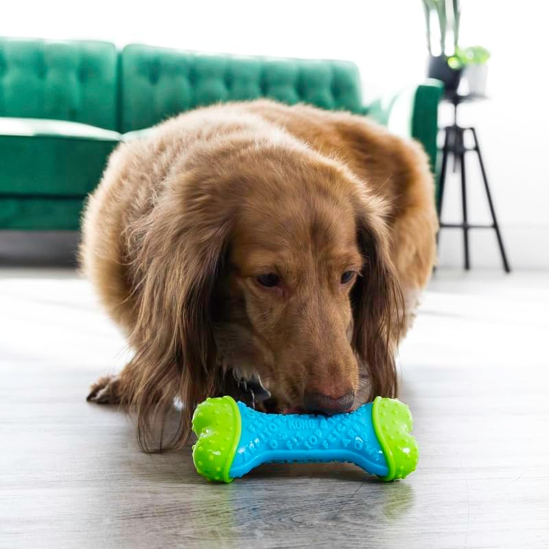 KONG CoreStrength Bone - Dog Dental Chew Toy - Durable, Multi-Layered Dog Toy with Textured Body for Teeth Cleaning - 2 Pack (Small/Medium)