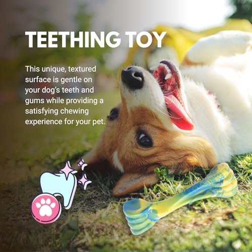 Consumable Corner - Dog Chew Toy - Bone-Shaped Toy