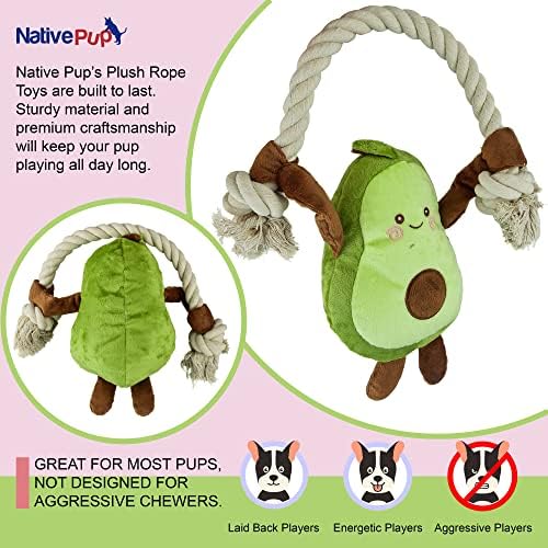 Native Pup Dog Toy Rope and Plush Stuffed Squeaker, Tug of War Toys for Dogs, Puppy Welcome Home Add on for Pets (Avocado)