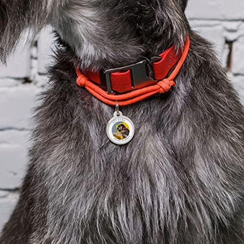 Dog Tags Personalized for Pets - Dog Tag with Qr Link to Online Profile - Dog Tags Engraved for Pets - Dog Name Tag and Cat Name Tag for Your Pet