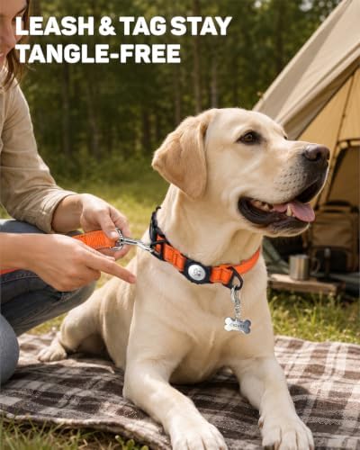 Padded Dog Collar with Waterproof Holder Compatible with Airtag