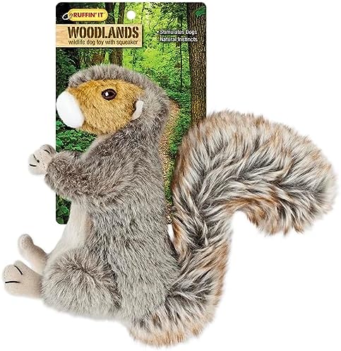 RUFFIN' IT Woodlands, Plush Squirrel, 8 in Squeaky Soft Stuffed, Dog Toy