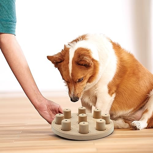 Outward Hound by Nina Ottosson Dog Smart Treat Puzzle Enrichment Toy, Level 1 Beginner, Tan, Composite