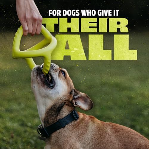 Bundle of Benebone Wishbone Durable Dog Chew Toy for Aggressive Chewers, Real Bacon, Made in USA, Medium + Benebone Natural Rubber Tug Interactive Dog Toy, Natural Rubber