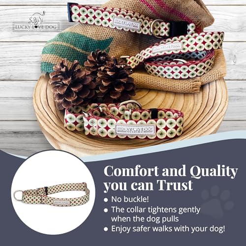 Lucky Love Dog Martingale Collar for Small Dogs No Slip Cute – Pongo, Small