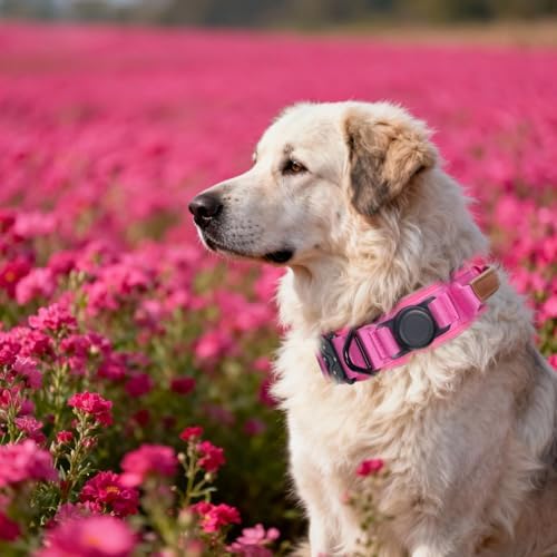 2" Tactical Dog Collar with Airtag Holder & Handle for Large Dogs (Pink)