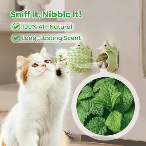 Catnip Toys with 6 Refill Catnip Balls & 3 Massage Shells