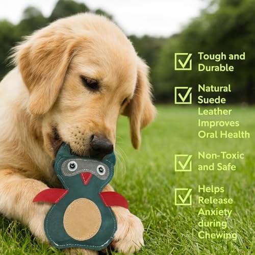 Natural Suede Leather Owl Chew Toy for Dogs & Puppies | Durable and Fun Interactive Toy | Supports Healthy Chewing and Daily Play | Soft Texture for Gentle Teeth