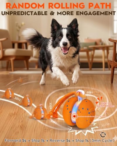 Xeuch Interactive Dog Ball, Irregular Moving and Motion Activated Toy | 2 Speeds, LED Lights, Smart Sensor, E-TPU Shell, Rope Design, Indoor Play for Dogs, Puppies, Boredom Relief