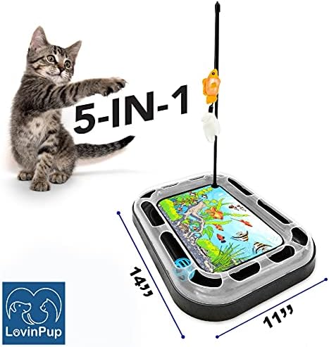 Cat Scratching Toy – Scratcher Board & Fish Aquarium Design