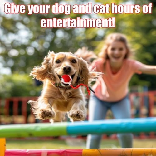 2025 New Interactive Dog Cat Toys Balls,Interactive Rolling Ball Cat Toy, 360° Smart Automatic Rolling Pet Ball, Fast Moving Toy for Dog and Cat(Green)