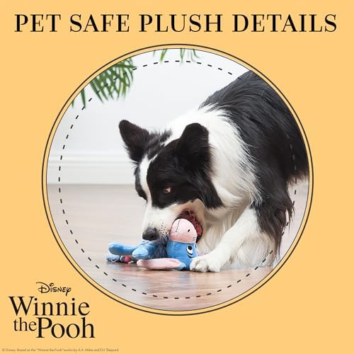 Disney for Pets Winnie the Pooh Eeyore Rope Body Dog Toy, 8 Inch