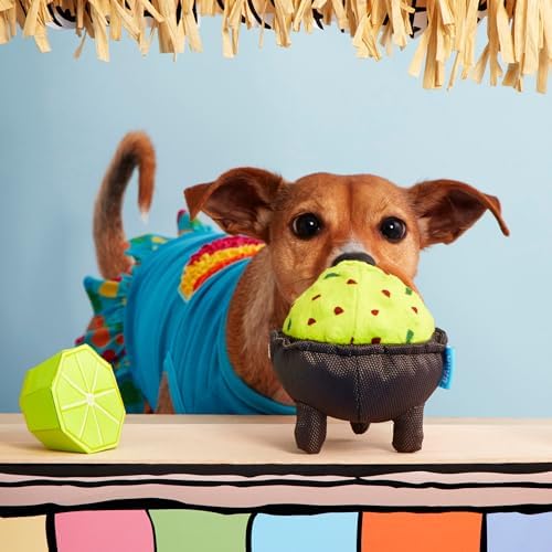 BarkBox Stop Guac and Mole Dog Toy - for Small to Medium Dogs