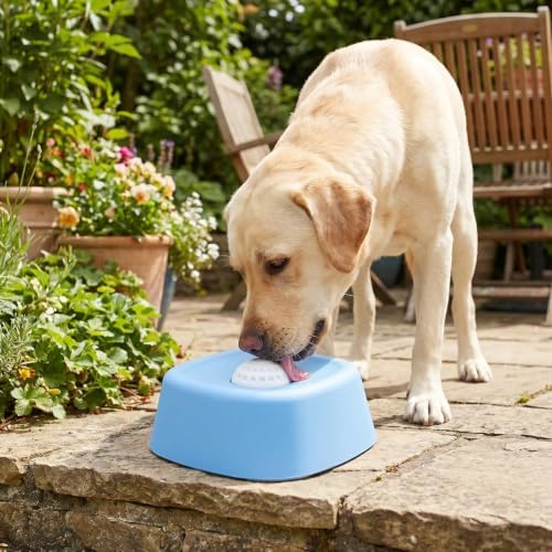 Slow Feeder Dog Bowls for Liquid Treat, Anti-Slip【Entertained Ball-in】 Bone Broth Dog Lick Bowl, 3/4 Cup Yogurt Pup Lick Toy for Large Medium Small Breeds Dietary Supplement/Post-op Nutrition (Blue)