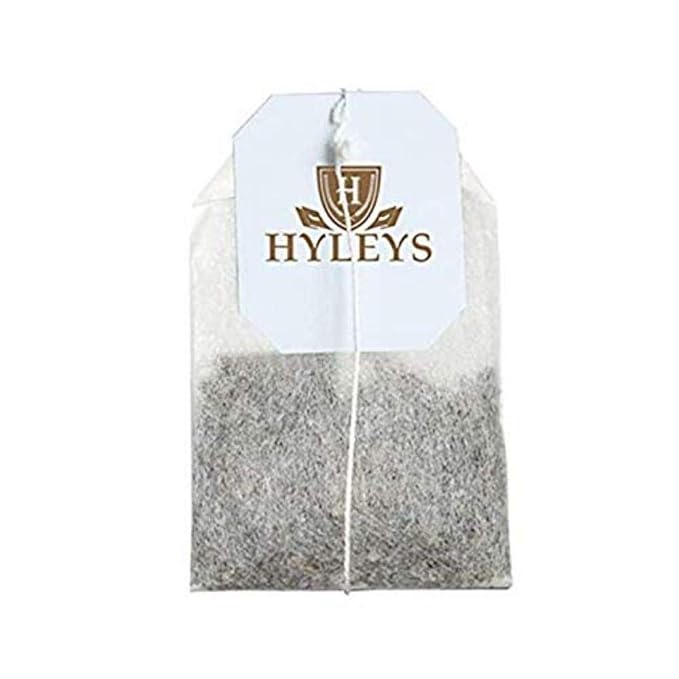 HYLEYS Organic Green Tea, Peach and Ginger Flavor - 25 Individually Wrapped Tea Bags - USDA Organic - Kosher & Vegan